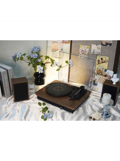 Виниловый проигрыватель с колонками, Alive Stereo-4